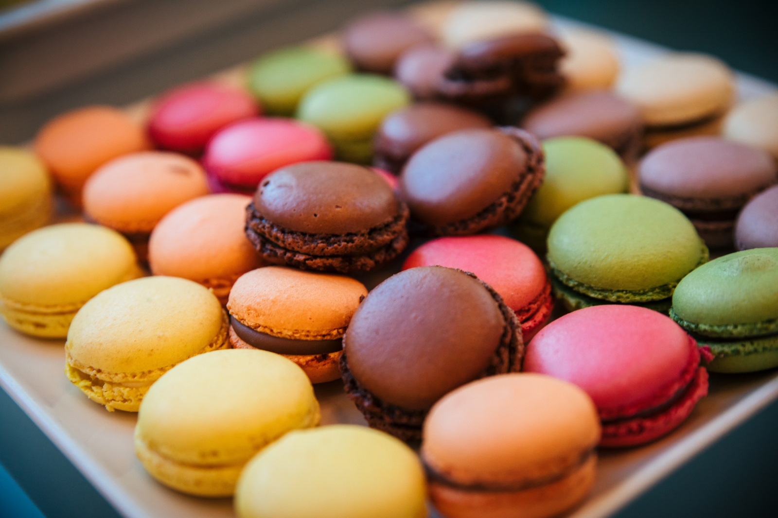 Nunta Flori si Sebi 1303